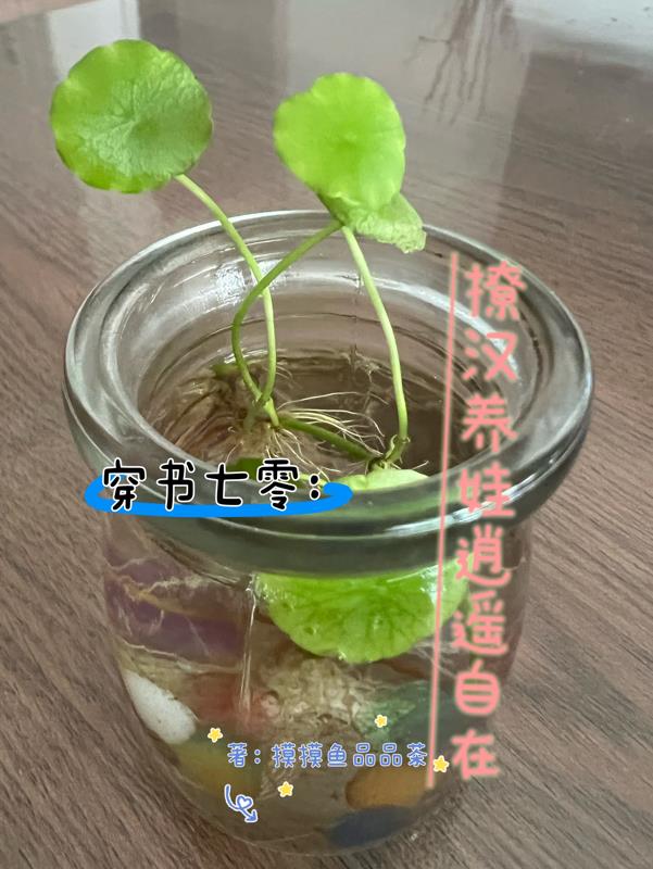 宋襄严厉寒126章