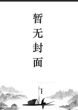 王安苏慕遮的小说叫什么名字